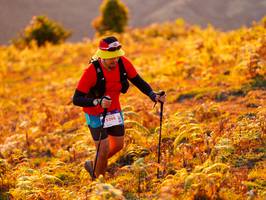 BIB: 5294
                            <button type="button" onclick="openModal(19305215)" class="btn btn-primary btn-sm float-right btn-popup" data-toggle="modal" data-target=".modal-high-quality">
                        <i class="fas fa-shopping-cart"></i> Add to Cart
                    </button>
                                            <button type="button" onclick="isThisMe(19305215, true)" class="btn btn-success btn-sm float-right btn-popup btn-isme hidden" data-toggle="tooltip" data-placement="bottom" title="นี่คือรูปของคุณใช่ไหม คลิกที่นี่เพื่อเอาเข้าอัลบั้ม">
                        <i class="fas fa-plus"></i> Add to album
                    </button>
                    <button type="button" onclick="isThisMe(19305215, false)" class="btn btn-warning btn-sm float-right btn-popup btn-isnotme hidden">
                        <i class="fas fa-ban"></i> Remove from album
                    </button>