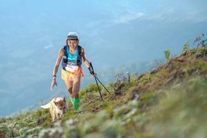 BIB: 
                            <button type="button" onclick="openModal(18899559)" class="btn btn-primary btn-sm float-right btn-popup" data-toggle="modal" data-target=".modal-high-quality">
                        <i class="fas fa-shopping-cart"></i> Add to Cart
                    </button>
                                            <button type="button" onclick="isThisMe(18899559, true)" class="btn btn-success btn-sm float-right btn-popup btn-isme hidden" data-toggle="tooltip" data-placement="bottom" title="นี่คือรูปของคุณใช่ไหม คลิกที่นี่เพื่อเอาเข้าอัลบั้ม">
                        <i class="fas fa-plus"></i> Add to album
                    </button>
                    <button type="button" onclick="isThisMe(18899559, false)" class="btn btn-warning btn-sm float-right btn-popup btn-isnotme hidden">
                        <i class="fas fa-ban"></i> Remove from album
                    </button>