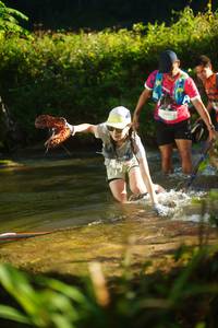 BIB: 
                            <button type="button" onclick="openModal(19031560)" class="btn btn-primary btn-sm float-right btn-popup" data-toggle="modal" data-target=".modal-high-quality">
                        <i class="fas fa-shopping-cart"></i> Add to Cart
                    </button>
                                            <button type="button" onclick="isThisMe(19031560, true)" class="btn btn-success btn-sm float-right btn-popup btn-isme hidden" data-toggle="tooltip" data-placement="bottom" title="นี่คือรูปของคุณใช่ไหม คลิกที่นี่เพื่อเอาเข้าอัลบั้ม">
                        <i class="fas fa-plus"></i> Add to album
                    </button>
                    <button type="button" onclick="isThisMe(19031560, false)" class="btn btn-warning btn-sm float-right btn-popup btn-isnotme hidden">
                        <i class="fas fa-ban"></i> Remove from album
                    </button>