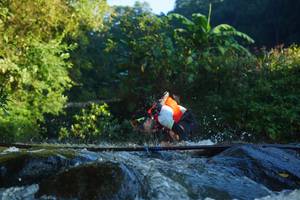 BIB: 
                            <button type="button" onclick="openModal(19046995)" class="btn btn-primary btn-sm float-right btn-popup" data-toggle="modal" data-target=".modal-high-quality">
                        <i class="fas fa-shopping-cart"></i> Add to Cart
                    </button>
                                            <button type="button" onclick="isThisMe(19046995, true)" class="btn btn-success btn-sm float-right btn-popup btn-isme hidden" data-toggle="tooltip" data-placement="bottom" title="นี่คือรูปของคุณใช่ไหม คลิกที่นี่เพื่อเอาเข้าอัลบั้ม">
                        <i class="fas fa-plus"></i> Add to album
                    </button>
                    <button type="button" onclick="isThisMe(19046995, false)" class="btn btn-warning btn-sm float-right btn-popup btn-isnotme hidden">
                        <i class="fas fa-ban"></i> Remove from album
                    </button>