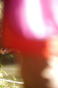 BIB: 
                            <button type="button" onclick="openModal(19014905)" class="btn btn-primary btn-sm float-right btn-popup" data-toggle="modal" data-target=".modal-high-quality">
                        <i class="fas fa-shopping-cart"></i> Add to Cart
                    </button>
                                            <button type="button" onclick="isThisMe(19014905, true)" class="btn btn-success btn-sm float-right btn-popup btn-isme hidden" data-toggle="tooltip" data-placement="bottom" title="นี่คือรูปของคุณใช่ไหม คลิกที่นี่เพื่อเอาเข้าอัลบั้ม">
                        <i class="fas fa-plus"></i> Add to album
                    </button>
                    <button type="button" onclick="isThisMe(19014905, false)" class="btn btn-warning btn-sm float-right btn-popup btn-isnotme hidden">
                        <i class="fas fa-ban"></i> Remove from album
                    </button>