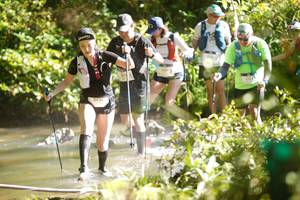 BIB: 2430
                            <button type="button" onclick="openModal(19019246)" class="btn btn-primary btn-sm float-right btn-popup" data-toggle="modal" data-target=".modal-high-quality">
                        <i class="fas fa-shopping-cart"></i> Add to Cart
                    </button>
                                            <button type="button" onclick="isThisMe(19019246, true)" class="btn btn-success btn-sm float-right btn-popup btn-isme hidden" data-toggle="tooltip" data-placement="bottom" title="นี่คือรูปของคุณใช่ไหม คลิกที่นี่เพื่อเอาเข้าอัลบั้ม">
                        <i class="fas fa-plus"></i> Add to album
                    </button>
                    <button type="button" onclick="isThisMe(19019246, false)" class="btn btn-warning btn-sm float-right btn-popup btn-isnotme hidden">
                        <i class="fas fa-ban"></i> Remove from album
                    </button>