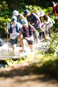 BIB: 
                            <button type="button" onclick="openModal(19020812)" class="btn btn-primary btn-sm float-right btn-popup" data-toggle="modal" data-target=".modal-high-quality">
                        <i class="fas fa-shopping-cart"></i> Add to Cart
                    </button>
                                            <button type="button" onclick="isThisMe(19020812, true)" class="btn btn-success btn-sm float-right btn-popup btn-isme hidden" data-toggle="tooltip" data-placement="bottom" title="นี่คือรูปของคุณใช่ไหม คลิกที่นี่เพื่อเอาเข้าอัลบั้ม">
                        <i class="fas fa-plus"></i> Add to album
                    </button>
                    <button type="button" onclick="isThisMe(19020812, false)" class="btn btn-warning btn-sm float-right btn-popup btn-isnotme hidden">
                        <i class="fas fa-ban"></i> Remove from album
                    </button>