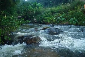 BIB: 
                            <button type="button" onclick="openModal(19045791)" class="btn btn-primary btn-sm float-right btn-popup" data-toggle="modal" data-target=".modal-high-quality">
                        <i class="fas fa-shopping-cart"></i> Add to Cart
                    </button>
                                            <button type="button" onclick="isThisMe(19045791, true)" class="btn btn-success btn-sm float-right btn-popup btn-isme hidden" data-toggle="tooltip" data-placement="bottom" title="นี่คือรูปของคุณใช่ไหม คลิกที่นี่เพื่อเอาเข้าอัลบั้ม">
                        <i class="fas fa-plus"></i> Add to album
                    </button>
                    <button type="button" onclick="isThisMe(19045791, false)" class="btn btn-warning btn-sm float-right btn-popup btn-isnotme hidden">
                        <i class="fas fa-ban"></i> Remove from album
                    </button>