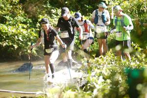 BIB: 2430, 
                            <button type="button" onclick="openModal(19014814)" class="btn btn-primary btn-sm float-right btn-popup" data-toggle="modal" data-target=".modal-high-quality">
                        <i class="fas fa-shopping-cart"></i> Add to Cart
                    </button>
                                            <button type="button" onclick="isThisMe(19014814, true)" class="btn btn-success btn-sm float-right btn-popup btn-isme hidden" data-toggle="tooltip" data-placement="bottom" title="นี่คือรูปของคุณใช่ไหม คลิกที่นี่เพื่อเอาเข้าอัลบั้ม">
                        <i class="fas fa-plus"></i> Add to album
                    </button>
                    <button type="button" onclick="isThisMe(19014814, false)" class="btn btn-warning btn-sm float-right btn-popup btn-isnotme hidden">
                        <i class="fas fa-ban"></i> Remove from album
                    </button>