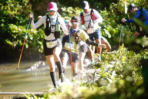 BIB: 2380
                            <button type="button" onclick="openModal(19022747)" class="btn btn-primary btn-sm float-right btn-popup" data-toggle="modal" data-target=".modal-high-quality">
                        <i class="fas fa-shopping-cart"></i> Add to Cart
                    </button>
                                            <button type="button" onclick="isThisMe(19022747, true)" class="btn btn-success btn-sm float-right btn-popup btn-isme hidden" data-toggle="tooltip" data-placement="bottom" title="นี่คือรูปของคุณใช่ไหม คลิกที่นี่เพื่อเอาเข้าอัลบั้ม">
                        <i class="fas fa-plus"></i> Add to album
                    </button>
                    <button type="button" onclick="isThisMe(19022747, false)" class="btn btn-warning btn-sm float-right btn-popup btn-isnotme hidden">
                        <i class="fas fa-ban"></i> Remove from album
                    </button>