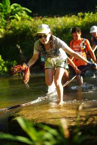 BIB: 
                            <button type="button" onclick="openModal(19030687)" class="btn btn-primary btn-sm float-right btn-popup" data-toggle="modal" data-target=".modal-high-quality">
                        <i class="fas fa-shopping-cart"></i> Add to Cart
                    </button>
                                            <button type="button" onclick="isThisMe(19030687, true)" class="btn btn-success btn-sm float-right btn-popup btn-isme hidden" data-toggle="tooltip" data-placement="bottom" title="นี่คือรูปของคุณใช่ไหม คลิกที่นี่เพื่อเอาเข้าอัลบั้ม">
                        <i class="fas fa-plus"></i> Add to album
                    </button>
                    <button type="button" onclick="isThisMe(19030687, false)" class="btn btn-warning btn-sm float-right btn-popup btn-isnotme hidden">
                        <i class="fas fa-ban"></i> Remove from album
                    </button>