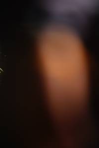 BIB: 
                            <button type="button" onclick="openModal(19015288)" class="btn btn-primary btn-sm float-right btn-popup" data-toggle="modal" data-target=".modal-high-quality">
                        <i class="fas fa-shopping-cart"></i> Add to Cart
                    </button>
                                            <button type="button" onclick="isThisMe(19015288, true)" class="btn btn-success btn-sm float-right btn-popup btn-isme hidden" data-toggle="tooltip" data-placement="bottom" title="นี่คือรูปของคุณใช่ไหม คลิกที่นี่เพื่อเอาเข้าอัลบั้ม">
                        <i class="fas fa-plus"></i> Add to album
                    </button>
                    <button type="button" onclick="isThisMe(19015288, false)" class="btn btn-warning btn-sm float-right btn-popup btn-isnotme hidden">
                        <i class="fas fa-ban"></i> Remove from album
                    </button>