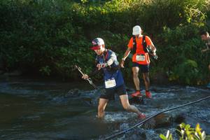 BIB: 2903
                            <button type="button" onclick="openModal(19051306)" class="btn btn-primary btn-sm float-right btn-popup" data-toggle="modal" data-target=".modal-high-quality">
                        <i class="fas fa-shopping-cart"></i> Add to Cart
                    </button>
                                            <button type="button" onclick="isThisMe(19051306, true)" class="btn btn-success btn-sm float-right btn-popup btn-isme hidden" data-toggle="tooltip" data-placement="bottom" title="นี่คือรูปของคุณใช่ไหม คลิกที่นี่เพื่อเอาเข้าอัลบั้ม">
                        <i class="fas fa-plus"></i> Add to album
                    </button>
                    <button type="button" onclick="isThisMe(19051306, false)" class="btn btn-warning btn-sm float-right btn-popup btn-isnotme hidden">
                        <i class="fas fa-ban"></i> Remove from album
                    </button>