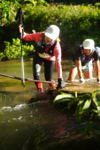 BIB: 
                            <button type="button" onclick="openModal(19033897)" class="btn btn-primary btn-sm float-right btn-popup" data-toggle="modal" data-target=".modal-high-quality">
                        <i class="fas fa-shopping-cart"></i> Add to Cart
                    </button>
                                            <button type="button" onclick="isThisMe(19033897, true)" class="btn btn-success btn-sm float-right btn-popup btn-isme hidden" data-toggle="tooltip" data-placement="bottom" title="นี่คือรูปของคุณใช่ไหม คลิกที่นี่เพื่อเอาเข้าอัลบั้ม">
                        <i class="fas fa-plus"></i> Add to album
                    </button>
                    <button type="button" onclick="isThisMe(19033897, false)" class="btn btn-warning btn-sm float-right btn-popup btn-isnotme hidden">
                        <i class="fas fa-ban"></i> Remove from album
                    </button>