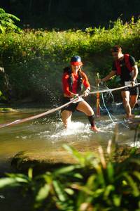 BIB: 
                            <button type="button" onclick="openModal(19031000)" class="btn btn-primary btn-sm float-right btn-popup" data-toggle="modal" data-target=".modal-high-quality">
                        <i class="fas fa-shopping-cart"></i> Add to Cart
                    </button>
                                            <button type="button" onclick="isThisMe(19031000, true)" class="btn btn-success btn-sm float-right btn-popup btn-isme hidden" data-toggle="tooltip" data-placement="bottom" title="นี่คือรูปของคุณใช่ไหม คลิกที่นี่เพื่อเอาเข้าอัลบั้ม">
                        <i class="fas fa-plus"></i> Add to album
                    </button>
                    <button type="button" onclick="isThisMe(19031000, false)" class="btn btn-warning btn-sm float-right btn-popup btn-isnotme hidden">
                        <i class="fas fa-ban"></i> Remove from album
                    </button>