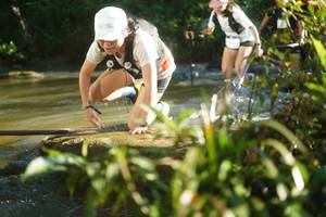 BIB: 
                            <button type="button" onclick="openModal(19033518)" class="btn btn-primary btn-sm float-right btn-popup" data-toggle="modal" data-target=".modal-high-quality">
                        <i class="fas fa-shopping-cart"></i> Add to Cart
                    </button>
                                            <button type="button" onclick="isThisMe(19033518, true)" class="btn btn-success btn-sm float-right btn-popup btn-isme hidden" data-toggle="tooltip" data-placement="bottom" title="นี่คือรูปของคุณใช่ไหม คลิกที่นี่เพื่อเอาเข้าอัลบั้ม">
                        <i class="fas fa-plus"></i> Add to album
                    </button>
                    <button type="button" onclick="isThisMe(19033518, false)" class="btn btn-warning btn-sm float-right btn-popup btn-isnotme hidden">
                        <i class="fas fa-ban"></i> Remove from album
                    </button>