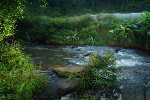 BIB: 
                            <button type="button" onclick="openModal(19044422)" class="btn btn-primary btn-sm float-right btn-popup" data-toggle="modal" data-target=".modal-high-quality">
                        <i class="fas fa-shopping-cart"></i> Add to Cart
                    </button>
                                            <button type="button" onclick="isThisMe(19044422, true)" class="btn btn-success btn-sm float-right btn-popup btn-isme hidden" data-toggle="tooltip" data-placement="bottom" title="นี่คือรูปของคุณใช่ไหม คลิกที่นี่เพื่อเอาเข้าอัลบั้ม">
                        <i class="fas fa-plus"></i> Add to album
                    </button>
                    <button type="button" onclick="isThisMe(19044422, false)" class="btn btn-warning btn-sm float-right btn-popup btn-isnotme hidden">
                        <i class="fas fa-ban"></i> Remove from album
                    </button>