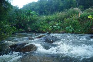 BIB: 
                            <button type="button" onclick="openModal(19048052)" class="btn btn-primary btn-sm float-right btn-popup" data-toggle="modal" data-target=".modal-high-quality">
                        <i class="fas fa-shopping-cart"></i> Add to Cart
                    </button>
                                            <button type="button" onclick="isThisMe(19048052, true)" class="btn btn-success btn-sm float-right btn-popup btn-isme hidden" data-toggle="tooltip" data-placement="bottom" title="นี่คือรูปของคุณใช่ไหม คลิกที่นี่เพื่อเอาเข้าอัลบั้ม">
                        <i class="fas fa-plus"></i> Add to album
                    </button>
                    <button type="button" onclick="isThisMe(19048052, false)" class="btn btn-warning btn-sm float-right btn-popup btn-isnotme hidden">
                        <i class="fas fa-ban"></i> Remove from album
                    </button>