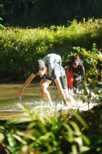 BIB: 
                            <button type="button" onclick="openModal(19024181)" class="btn btn-primary btn-sm float-right btn-popup" data-toggle="modal" data-target=".modal-high-quality">
                        <i class="fas fa-shopping-cart"></i> Add to Cart
                    </button>
                                            <button type="button" onclick="isThisMe(19024181, true)" class="btn btn-success btn-sm float-right btn-popup btn-isme hidden" data-toggle="tooltip" data-placement="bottom" title="นี่คือรูปของคุณใช่ไหม คลิกที่นี่เพื่อเอาเข้าอัลบั้ม">
                        <i class="fas fa-plus"></i> Add to album
                    </button>
                    <button type="button" onclick="isThisMe(19024181, false)" class="btn btn-warning btn-sm float-right btn-popup btn-isnotme hidden">
                        <i class="fas fa-ban"></i> Remove from album
                    </button>