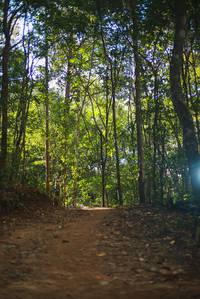 BIB: 
                            <button type="button" onclick="openModal(19154061)" class="btn btn-primary btn-sm float-right btn-popup" data-toggle="modal" data-target=".modal-high-quality">
                        <i class="fas fa-shopping-cart"></i> Add to Cart
                    </button>
                                            <button type="button" onclick="isThisMe(19154061, true)" class="btn btn-success btn-sm float-right btn-popup btn-isme hidden" data-toggle="tooltip" data-placement="bottom" title="นี่คือรูปของคุณใช่ไหม คลิกที่นี่เพื่อเอาเข้าอัลบั้ม">
                        <i class="fas fa-plus"></i> Add to album
                    </button>
                    <button type="button" onclick="isThisMe(19154061, false)" class="btn btn-warning btn-sm float-right btn-popup btn-isnotme hidden">
                        <i class="fas fa-ban"></i> Remove from album
                    </button>