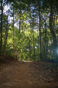 BIB: 
                            <button type="button" onclick="openModal(19357837)" class="btn btn-primary btn-sm float-right btn-popup" data-toggle="modal" data-target=".modal-high-quality">
                        <i class="fas fa-shopping-cart"></i> Add to Cart
                    </button>
                                            <button type="button" onclick="isThisMe(19357837, true)" class="btn btn-success btn-sm float-right btn-popup btn-isme hidden" data-toggle="tooltip" data-placement="bottom" title="นี่คือรูปของคุณใช่ไหม คลิกที่นี่เพื่อเอาเข้าอัลบั้ม">
                        <i class="fas fa-plus"></i> Add to album
                    </button>
                    <button type="button" onclick="isThisMe(19357837, false)" class="btn btn-warning btn-sm float-right btn-popup btn-isnotme hidden">
                        <i class="fas fa-ban"></i> Remove from album
                    </button>