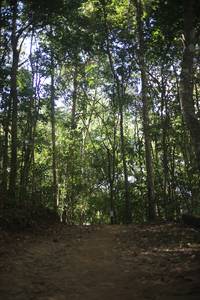 BIB: 
                            <button type="button" onclick="openModal(19353583)" class="btn btn-primary btn-sm float-right btn-popup" data-toggle="modal" data-target=".modal-high-quality">
                        <i class="fas fa-shopping-cart"></i> Add to Cart
                    </button>
                                            <button type="button" onclick="isThisMe(19353583, true)" class="btn btn-success btn-sm float-right btn-popup btn-isme hidden" data-toggle="tooltip" data-placement="bottom" title="นี่คือรูปของคุณใช่ไหม คลิกที่นี่เพื่อเอาเข้าอัลบั้ม">
                        <i class="fas fa-plus"></i> Add to album
                    </button>
                    <button type="button" onclick="isThisMe(19353583, false)" class="btn btn-warning btn-sm float-right btn-popup btn-isnotme hidden">
                        <i class="fas fa-ban"></i> Remove from album
                    </button>