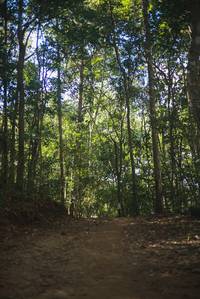 BIB: 
                            <button type="button" onclick="openModal(19145928)" class="btn btn-primary btn-sm float-right btn-popup" data-toggle="modal" data-target=".modal-high-quality">
                        <i class="fas fa-shopping-cart"></i> Add to Cart
                    </button>
                                            <button type="button" onclick="isThisMe(19145928, true)" class="btn btn-success btn-sm float-right btn-popup btn-isme hidden" data-toggle="tooltip" data-placement="bottom" title="นี่คือรูปของคุณใช่ไหม คลิกที่นี่เพื่อเอาเข้าอัลบั้ม">
                        <i class="fas fa-plus"></i> Add to album
                    </button>
                    <button type="button" onclick="isThisMe(19145928, false)" class="btn btn-warning btn-sm float-right btn-popup btn-isnotme hidden">
                        <i class="fas fa-ban"></i> Remove from album
                    </button>