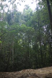 BIB: 
                            <button type="button" onclick="openModal(19154680)" class="btn btn-primary btn-sm float-right btn-popup" data-toggle="modal" data-target=".modal-high-quality">
                        <i class="fas fa-shopping-cart"></i> Add to Cart
                    </button>
                                            <button type="button" onclick="isThisMe(19154680, true)" class="btn btn-success btn-sm float-right btn-popup btn-isme hidden" data-toggle="tooltip" data-placement="bottom" title="นี่คือรูปของคุณใช่ไหม คลิกที่นี่เพื่อเอาเข้าอัลบั้ม">
                        <i class="fas fa-plus"></i> Add to album
                    </button>
                    <button type="button" onclick="isThisMe(19154680, false)" class="btn btn-warning btn-sm float-right btn-popup btn-isnotme hidden">
                        <i class="fas fa-ban"></i> Remove from album
                    </button>