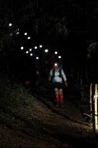 BIB: 
                            <button type="button" onclick="openModal(19126440)" class="btn btn-primary btn-sm float-right btn-popup" data-toggle="modal" data-target=".modal-high-quality">
                        <i class="fas fa-shopping-cart"></i> Add to Cart
                    </button>
                                            <button type="button" onclick="isThisMe(19126440, true)" class="btn btn-success btn-sm float-right btn-popup btn-isme hidden" data-toggle="tooltip" data-placement="bottom" title="นี่คือรูปของคุณใช่ไหม คลิกที่นี่เพื่อเอาเข้าอัลบั้ม">
                        <i class="fas fa-plus"></i> Add to album
                    </button>
                    <button type="button" onclick="isThisMe(19126440, false)" class="btn btn-warning btn-sm float-right btn-popup btn-isnotme hidden">
                        <i class="fas fa-ban"></i> Remove from album
                    </button>