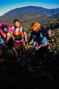 BIB: 4120
                            <button type="button" onclick="openModal(19362661)" class="btn btn-primary btn-sm float-right btn-popup" data-toggle="modal" data-target=".modal-high-quality">
                        <i class="fas fa-shopping-cart"></i> Add to Cart
                    </button>
                                            <button type="button" onclick="isThisMe(19362661, true)" class="btn btn-success btn-sm float-right btn-popup btn-isme hidden" data-toggle="tooltip" data-placement="bottom" title="นี่คือรูปของคุณใช่ไหม คลิกที่นี่เพื่อเอาเข้าอัลบั้ม">
                        <i class="fas fa-plus"></i> Add to album
                    </button>
                    <button type="button" onclick="isThisMe(19362661, false)" class="btn btn-warning btn-sm float-right btn-popup btn-isnotme hidden">
                        <i class="fas fa-ban"></i> Remove from album
                    </button>