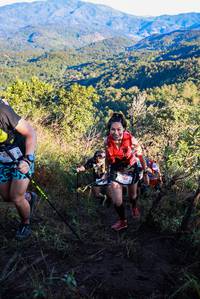 BIB: 
                            <button type="button" onclick="openModal(19362036)" class="btn btn-primary btn-sm float-right btn-popup" data-toggle="modal" data-target=".modal-high-quality">
                        <i class="fas fa-shopping-cart"></i> Add to Cart
                    </button>
                                            <button type="button" onclick="isThisMe(19362036, true)" class="btn btn-success btn-sm float-right btn-popup btn-isme hidden" data-toggle="tooltip" data-placement="bottom" title="นี่คือรูปของคุณใช่ไหม คลิกที่นี่เพื่อเอาเข้าอัลบั้ม">
                        <i class="fas fa-plus"></i> Add to album
                    </button>
                    <button type="button" onclick="isThisMe(19362036, false)" class="btn btn-warning btn-sm float-right btn-popup btn-isnotme hidden">
                        <i class="fas fa-ban"></i> Remove from album
                    </button>