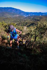 BIB: 
                            <button type="button" onclick="openModal(19364549)" class="btn btn-primary btn-sm float-right btn-popup" data-toggle="modal" data-target=".modal-high-quality">
                        <i class="fas fa-shopping-cart"></i> Add to Cart
                    </button>
                                            <button type="button" onclick="isThisMe(19364549, true)" class="btn btn-success btn-sm float-right btn-popup btn-isme hidden" data-toggle="tooltip" data-placement="bottom" title="นี่คือรูปของคุณใช่ไหม คลิกที่นี่เพื่อเอาเข้าอัลบั้ม">
                        <i class="fas fa-plus"></i> Add to album
                    </button>
                    <button type="button" onclick="isThisMe(19364549, false)" class="btn btn-warning btn-sm float-right btn-popup btn-isnotme hidden">
                        <i class="fas fa-ban"></i> Remove from album
                    </button>