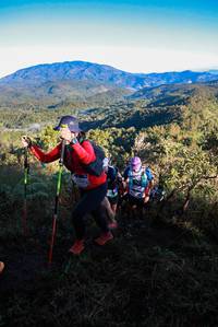 BIB: 
                            <button type="button" onclick="openModal(19361472)" class="btn btn-primary btn-sm float-right btn-popup" data-toggle="modal" data-target=".modal-high-quality">
                        <i class="fas fa-shopping-cart"></i> Add to Cart
                    </button>
                                            <button type="button" onclick="isThisMe(19361472, true)" class="btn btn-success btn-sm float-right btn-popup btn-isme hidden" data-toggle="tooltip" data-placement="bottom" title="นี่คือรูปของคุณใช่ไหม คลิกที่นี่เพื่อเอาเข้าอัลบั้ม">
                        <i class="fas fa-plus"></i> Add to album
                    </button>
                    <button type="button" onclick="isThisMe(19361472, false)" class="btn btn-warning btn-sm float-right btn-popup btn-isnotme hidden">
                        <i class="fas fa-ban"></i> Remove from album
                    </button>