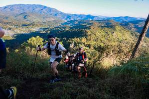 BIB: 
                            <button type="button" onclick="openModal(19360819)" class="btn btn-primary btn-sm float-right btn-popup" data-toggle="modal" data-target=".modal-high-quality">
                        <i class="fas fa-shopping-cart"></i> Add to Cart
                    </button>
                                            <button type="button" onclick="isThisMe(19360819, true)" class="btn btn-success btn-sm float-right btn-popup btn-isme hidden" data-toggle="tooltip" data-placement="bottom" title="นี่คือรูปของคุณใช่ไหม คลิกที่นี่เพื่อเอาเข้าอัลบั้ม">
                        <i class="fas fa-plus"></i> Add to album
                    </button>
                    <button type="button" onclick="isThisMe(19360819, false)" class="btn btn-warning btn-sm float-right btn-popup btn-isnotme hidden">
                        <i class="fas fa-ban"></i> Remove from album
                    </button>