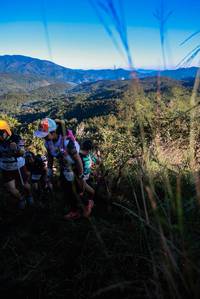 BIB: 
                            <button type="button" onclick="openModal(19361510)" class="btn btn-primary btn-sm float-right btn-popup" data-toggle="modal" data-target=".modal-high-quality">
                        <i class="fas fa-shopping-cart"></i> Add to Cart
                    </button>
                                            <button type="button" onclick="isThisMe(19361510, true)" class="btn btn-success btn-sm float-right btn-popup btn-isme hidden" data-toggle="tooltip" data-placement="bottom" title="นี่คือรูปของคุณใช่ไหม คลิกที่นี่เพื่อเอาเข้าอัลบั้ม">
                        <i class="fas fa-plus"></i> Add to album
                    </button>
                    <button type="button" onclick="isThisMe(19361510, false)" class="btn btn-warning btn-sm float-right btn-popup btn-isnotme hidden">
                        <i class="fas fa-ban"></i> Remove from album
                    </button>