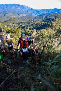 BIB: 
                            <button type="button" onclick="openModal(19362547)" class="btn btn-primary btn-sm float-right btn-popup" data-toggle="modal" data-target=".modal-high-quality">
                        <i class="fas fa-shopping-cart"></i> Add to Cart
                    </button>
                                            <button type="button" onclick="isThisMe(19362547, true)" class="btn btn-success btn-sm float-right btn-popup btn-isme hidden" data-toggle="tooltip" data-placement="bottom" title="นี่คือรูปของคุณใช่ไหม คลิกที่นี่เพื่อเอาเข้าอัลบั้ม">
                        <i class="fas fa-plus"></i> Add to album
                    </button>
                    <button type="button" onclick="isThisMe(19362547, false)" class="btn btn-warning btn-sm float-right btn-popup btn-isnotme hidden">
                        <i class="fas fa-ban"></i> Remove from album
                    </button>