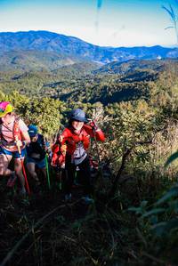 BIB: 
                            <button type="button" onclick="openModal(19362499)" class="btn btn-primary btn-sm float-right btn-popup" data-toggle="modal" data-target=".modal-high-quality">
                        <i class="fas fa-shopping-cart"></i> Add to Cart
                    </button>
                                            <button type="button" onclick="isThisMe(19362499, true)" class="btn btn-success btn-sm float-right btn-popup btn-isme hidden" data-toggle="tooltip" data-placement="bottom" title="นี่คือรูปของคุณใช่ไหม คลิกที่นี่เพื่อเอาเข้าอัลบั้ม">
                        <i class="fas fa-plus"></i> Add to album
                    </button>
                    <button type="button" onclick="isThisMe(19362499, false)" class="btn btn-warning btn-sm float-right btn-popup btn-isnotme hidden">
                        <i class="fas fa-ban"></i> Remove from album
                    </button>