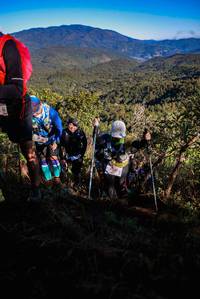 BIB: 
                            <button type="button" onclick="openModal(19364228)" class="btn btn-primary btn-sm float-right btn-popup" data-toggle="modal" data-target=".modal-high-quality">
                        <i class="fas fa-shopping-cart"></i> Add to Cart
                    </button>
                                            <button type="button" onclick="isThisMe(19364228, true)" class="btn btn-success btn-sm float-right btn-popup btn-isme hidden" data-toggle="tooltip" data-placement="bottom" title="นี่คือรูปของคุณใช่ไหม คลิกที่นี่เพื่อเอาเข้าอัลบั้ม">
                        <i class="fas fa-plus"></i> Add to album
                    </button>
                    <button type="button" onclick="isThisMe(19364228, false)" class="btn btn-warning btn-sm float-right btn-popup btn-isnotme hidden">
                        <i class="fas fa-ban"></i> Remove from album
                    </button>