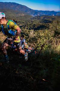 BIB: 
                            <button type="button" onclick="openModal(19362972)" class="btn btn-primary btn-sm float-right btn-popup" data-toggle="modal" data-target=".modal-high-quality">
                        <i class="fas fa-shopping-cart"></i> Add to Cart
                    </button>
                                            <button type="button" onclick="isThisMe(19362972, true)" class="btn btn-success btn-sm float-right btn-popup btn-isme hidden" data-toggle="tooltip" data-placement="bottom" title="นี่คือรูปของคุณใช่ไหม คลิกที่นี่เพื่อเอาเข้าอัลบั้ม">
                        <i class="fas fa-plus"></i> Add to album
                    </button>
                    <button type="button" onclick="isThisMe(19362972, false)" class="btn btn-warning btn-sm float-right btn-popup btn-isnotme hidden">
                        <i class="fas fa-ban"></i> Remove from album
                    </button>