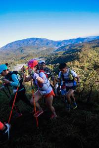 BIB: 
                            <button type="button" onclick="openModal(19361879)" class="btn btn-primary btn-sm float-right btn-popup" data-toggle="modal" data-target=".modal-high-quality">
                        <i class="fas fa-shopping-cart"></i> Add to Cart
                    </button>
                                            <button type="button" onclick="isThisMe(19361879, true)" class="btn btn-success btn-sm float-right btn-popup btn-isme hidden" data-toggle="tooltip" data-placement="bottom" title="นี่คือรูปของคุณใช่ไหม คลิกที่นี่เพื่อเอาเข้าอัลบั้ม">
                        <i class="fas fa-plus"></i> Add to album
                    </button>
                    <button type="button" onclick="isThisMe(19361879, false)" class="btn btn-warning btn-sm float-right btn-popup btn-isnotme hidden">
                        <i class="fas fa-ban"></i> Remove from album
                    </button>