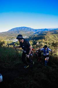 BIB: 
                            <button type="button" onclick="openModal(19361550)" class="btn btn-primary btn-sm float-right btn-popup" data-toggle="modal" data-target=".modal-high-quality">
                        <i class="fas fa-shopping-cart"></i> Add to Cart
                    </button>
                                            <button type="button" onclick="isThisMe(19361550, true)" class="btn btn-success btn-sm float-right btn-popup btn-isme hidden" data-toggle="tooltip" data-placement="bottom" title="นี่คือรูปของคุณใช่ไหม คลิกที่นี่เพื่อเอาเข้าอัลบั้ม">
                        <i class="fas fa-plus"></i> Add to album
                    </button>
                    <button type="button" onclick="isThisMe(19361550, false)" class="btn btn-warning btn-sm float-right btn-popup btn-isnotme hidden">
                        <i class="fas fa-ban"></i> Remove from album
                    </button>