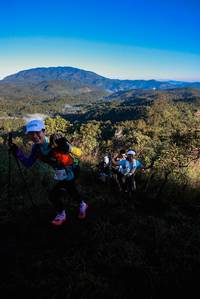 BIB: 
                            <button type="button" onclick="openModal(19362002)" class="btn btn-primary btn-sm float-right btn-popup" data-toggle="modal" data-target=".modal-high-quality">
                        <i class="fas fa-shopping-cart"></i> Add to Cart
                    </button>
                                            <button type="button" onclick="isThisMe(19362002, true)" class="btn btn-success btn-sm float-right btn-popup btn-isme hidden" data-toggle="tooltip" data-placement="bottom" title="นี่คือรูปของคุณใช่ไหม คลิกที่นี่เพื่อเอาเข้าอัลบั้ม">
                        <i class="fas fa-plus"></i> Add to album
                    </button>
                    <button type="button" onclick="isThisMe(19362002, false)" class="btn btn-warning btn-sm float-right btn-popup btn-isnotme hidden">
                        <i class="fas fa-ban"></i> Remove from album
                    </button>