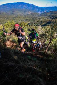 BIB: 
                            <button type="button" onclick="openModal(19364058)" class="btn btn-primary btn-sm float-right btn-popup" data-toggle="modal" data-target=".modal-high-quality">
                        <i class="fas fa-shopping-cart"></i> Add to Cart
                    </button>
                                            <button type="button" onclick="isThisMe(19364058, true)" class="btn btn-success btn-sm float-right btn-popup btn-isme hidden" data-toggle="tooltip" data-placement="bottom" title="นี่คือรูปของคุณใช่ไหม คลิกที่นี่เพื่อเอาเข้าอัลบั้ม">
                        <i class="fas fa-plus"></i> Add to album
                    </button>
                    <button type="button" onclick="isThisMe(19364058, false)" class="btn btn-warning btn-sm float-right btn-popup btn-isnotme hidden">
                        <i class="fas fa-ban"></i> Remove from album
                    </button>