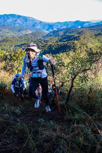 BIB: 
                            <button type="button" onclick="openModal(19362258)" class="btn btn-primary btn-sm float-right btn-popup" data-toggle="modal" data-target=".modal-high-quality">
                        <i class="fas fa-shopping-cart"></i> Add to Cart
                    </button>
                                            <button type="button" onclick="isThisMe(19362258, true)" class="btn btn-success btn-sm float-right btn-popup btn-isme hidden" data-toggle="tooltip" data-placement="bottom" title="นี่คือรูปของคุณใช่ไหม คลิกที่นี่เพื่อเอาเข้าอัลบั้ม">
                        <i class="fas fa-plus"></i> Add to album
                    </button>
                    <button type="button" onclick="isThisMe(19362258, false)" class="btn btn-warning btn-sm float-right btn-popup btn-isnotme hidden">
                        <i class="fas fa-ban"></i> Remove from album
                    </button>