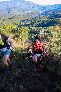 BIB: 
                            <button type="button" onclick="openModal(19362035)" class="btn btn-primary btn-sm float-right btn-popup" data-toggle="modal" data-target=".modal-high-quality">
                        <i class="fas fa-shopping-cart"></i> Add to Cart
                    </button>
                                            <button type="button" onclick="isThisMe(19362035, true)" class="btn btn-success btn-sm float-right btn-popup btn-isme hidden" data-toggle="tooltip" data-placement="bottom" title="นี่คือรูปของคุณใช่ไหม คลิกที่นี่เพื่อเอาเข้าอัลบั้ม">
                        <i class="fas fa-plus"></i> Add to album
                    </button>
                    <button type="button" onclick="isThisMe(19362035, false)" class="btn btn-warning btn-sm float-right btn-popup btn-isnotme hidden">
                        <i class="fas fa-ban"></i> Remove from album
                    </button>