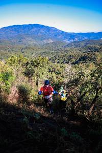 BIB: 
                            <button type="button" onclick="openModal(19364566)" class="btn btn-primary btn-sm float-right btn-popup" data-toggle="modal" data-target=".modal-high-quality">
                        <i class="fas fa-shopping-cart"></i> Add to Cart
                    </button>
                                            <button type="button" onclick="isThisMe(19364566, true)" class="btn btn-success btn-sm float-right btn-popup btn-isme hidden" data-toggle="tooltip" data-placement="bottom" title="นี่คือรูปของคุณใช่ไหม คลิกที่นี่เพื่อเอาเข้าอัลบั้ม">
                        <i class="fas fa-plus"></i> Add to album
                    </button>
                    <button type="button" onclick="isThisMe(19364566, false)" class="btn btn-warning btn-sm float-right btn-popup btn-isnotme hidden">
                        <i class="fas fa-ban"></i> Remove from album
                    </button>