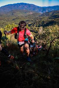 BIB: 294
                            <button type="button" onclick="openModal(19362696)" class="btn btn-primary btn-sm float-right btn-popup" data-toggle="modal" data-target=".modal-high-quality">
                        <i class="fas fa-shopping-cart"></i> Add to Cart
                    </button>
                                            <button type="button" onclick="isThisMe(19362696, true)" class="btn btn-success btn-sm float-right btn-popup btn-isme hidden" data-toggle="tooltip" data-placement="bottom" title="นี่คือรูปของคุณใช่ไหม คลิกที่นี่เพื่อเอาเข้าอัลบั้ม">
                        <i class="fas fa-plus"></i> Add to album
                    </button>
                    <button type="button" onclick="isThisMe(19362696, false)" class="btn btn-warning btn-sm float-right btn-popup btn-isnotme hidden">
                        <i class="fas fa-ban"></i> Remove from album
                    </button>