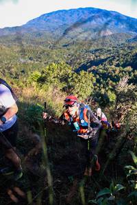 BIB: 
                            <button type="button" onclick="openModal(19362431)" class="btn btn-primary btn-sm float-right btn-popup" data-toggle="modal" data-target=".modal-high-quality">
                        <i class="fas fa-shopping-cart"></i> Add to Cart
                    </button>
                                            <button type="button" onclick="isThisMe(19362431, true)" class="btn btn-success btn-sm float-right btn-popup btn-isme hidden" data-toggle="tooltip" data-placement="bottom" title="นี่คือรูปของคุณใช่ไหม คลิกที่นี่เพื่อเอาเข้าอัลบั้ม">
                        <i class="fas fa-plus"></i> Add to album
                    </button>
                    <button type="button" onclick="isThisMe(19362431, false)" class="btn btn-warning btn-sm float-right btn-popup btn-isnotme hidden">
                        <i class="fas fa-ban"></i> Remove from album
                    </button>