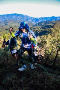 BIB: 
                            <button type="button" onclick="openModal(19362208)" class="btn btn-primary btn-sm float-right btn-popup" data-toggle="modal" data-target=".modal-high-quality">
                        <i class="fas fa-shopping-cart"></i> Add to Cart
                    </button>
                                            <button type="button" onclick="isThisMe(19362208, true)" class="btn btn-success btn-sm float-right btn-popup btn-isme hidden" data-toggle="tooltip" data-placement="bottom" title="นี่คือรูปของคุณใช่ไหม คลิกที่นี่เพื่อเอาเข้าอัลบั้ม">
                        <i class="fas fa-plus"></i> Add to album
                    </button>
                    <button type="button" onclick="isThisMe(19362208, false)" class="btn btn-warning btn-sm float-right btn-popup btn-isnotme hidden">
                        <i class="fas fa-ban"></i> Remove from album
                    </button>