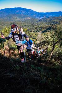 BIB: 
                            <button type="button" onclick="openModal(19364417)" class="btn btn-primary btn-sm float-right btn-popup" data-toggle="modal" data-target=".modal-high-quality">
                        <i class="fas fa-shopping-cart"></i> Add to Cart
                    </button>
                                            <button type="button" onclick="isThisMe(19364417, true)" class="btn btn-success btn-sm float-right btn-popup btn-isme hidden" data-toggle="tooltip" data-placement="bottom" title="นี่คือรูปของคุณใช่ไหม คลิกที่นี่เพื่อเอาเข้าอัลบั้ม">
                        <i class="fas fa-plus"></i> Add to album
                    </button>
                    <button type="button" onclick="isThisMe(19364417, false)" class="btn btn-warning btn-sm float-right btn-popup btn-isnotme hidden">
                        <i class="fas fa-ban"></i> Remove from album
                    </button>