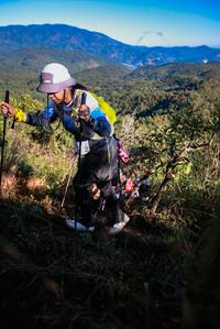 BIB: 
                            <button type="button" onclick="openModal(19364135)" class="btn btn-primary btn-sm float-right btn-popup" data-toggle="modal" data-target=".modal-high-quality">
                        <i class="fas fa-shopping-cart"></i> Add to Cart
                    </button>
                                            <button type="button" onclick="isThisMe(19364135, true)" class="btn btn-success btn-sm float-right btn-popup btn-isme hidden" data-toggle="tooltip" data-placement="bottom" title="นี่คือรูปของคุณใช่ไหม คลิกที่นี่เพื่อเอาเข้าอัลบั้ม">
                        <i class="fas fa-plus"></i> Add to album
                    </button>
                    <button type="button" onclick="isThisMe(19364135, false)" class="btn btn-warning btn-sm float-right btn-popup btn-isnotme hidden">
                        <i class="fas fa-ban"></i> Remove from album
                    </button>