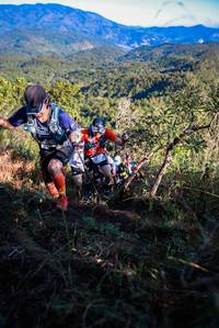 BIB: 
                            <button type="button" onclick="openModal(19363793)" class="btn btn-primary btn-sm float-right btn-popup" data-toggle="modal" data-target=".modal-high-quality">
                        <i class="fas fa-shopping-cart"></i> Add to Cart
                    </button>
                                            <button type="button" onclick="isThisMe(19363793, true)" class="btn btn-success btn-sm float-right btn-popup btn-isme hidden" data-toggle="tooltip" data-placement="bottom" title="นี่คือรูปของคุณใช่ไหม คลิกที่นี่เพื่อเอาเข้าอัลบั้ม">
                        <i class="fas fa-plus"></i> Add to album
                    </button>
                    <button type="button" onclick="isThisMe(19363793, false)" class="btn btn-warning btn-sm float-right btn-popup btn-isnotme hidden">
                        <i class="fas fa-ban"></i> Remove from album
                    </button>