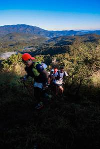 BIB: 
                            <button type="button" onclick="openModal(19361781)" class="btn btn-primary btn-sm float-right btn-popup" data-toggle="modal" data-target=".modal-high-quality">
                        <i class="fas fa-shopping-cart"></i> Add to Cart
                    </button>
                                            <button type="button" onclick="isThisMe(19361781, true)" class="btn btn-success btn-sm float-right btn-popup btn-isme hidden" data-toggle="tooltip" data-placement="bottom" title="นี่คือรูปของคุณใช่ไหม คลิกที่นี่เพื่อเอาเข้าอัลบั้ม">
                        <i class="fas fa-plus"></i> Add to album
                    </button>
                    <button type="button" onclick="isThisMe(19361781, false)" class="btn btn-warning btn-sm float-right btn-popup btn-isnotme hidden">
                        <i class="fas fa-ban"></i> Remove from album
                    </button>