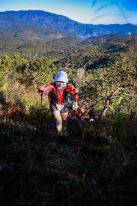 BIB: 
                            <button type="button" onclick="openModal(19363221)" class="btn btn-primary btn-sm float-right btn-popup" data-toggle="modal" data-target=".modal-high-quality">
                        <i class="fas fa-shopping-cart"></i> Add to Cart
                    </button>
                                            <button type="button" onclick="isThisMe(19363221, true)" class="btn btn-success btn-sm float-right btn-popup btn-isme hidden" data-toggle="tooltip" data-placement="bottom" title="นี่คือรูปของคุณใช่ไหม คลิกที่นี่เพื่อเอาเข้าอัลบั้ม">
                        <i class="fas fa-plus"></i> Add to album
                    </button>
                    <button type="button" onclick="isThisMe(19363221, false)" class="btn btn-warning btn-sm float-right btn-popup btn-isnotme hidden">
                        <i class="fas fa-ban"></i> Remove from album
                    </button>